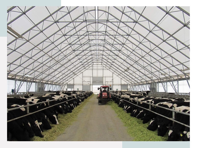 Тентовые коровники в Дальнереченске от 611 руб. - Надежно и доступно