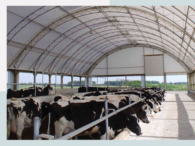 Тентовые коровники в Дальнереченске